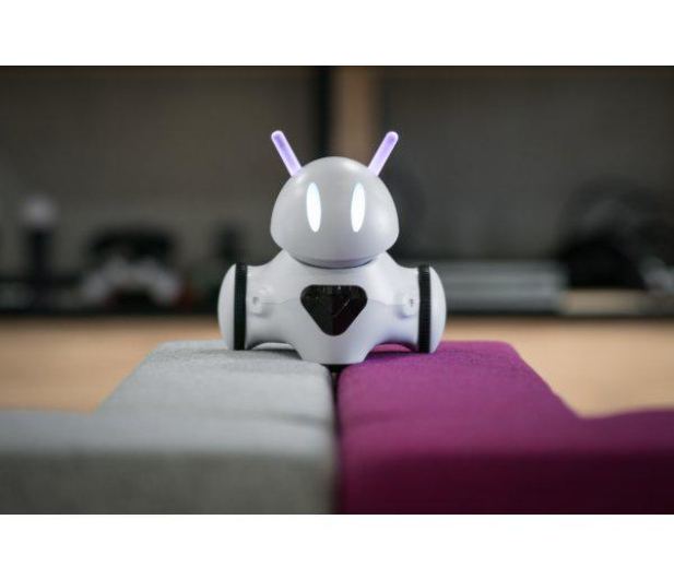 Photon Entertainment Robot Photon wersja domowa - 427557 - zdjęcie 5